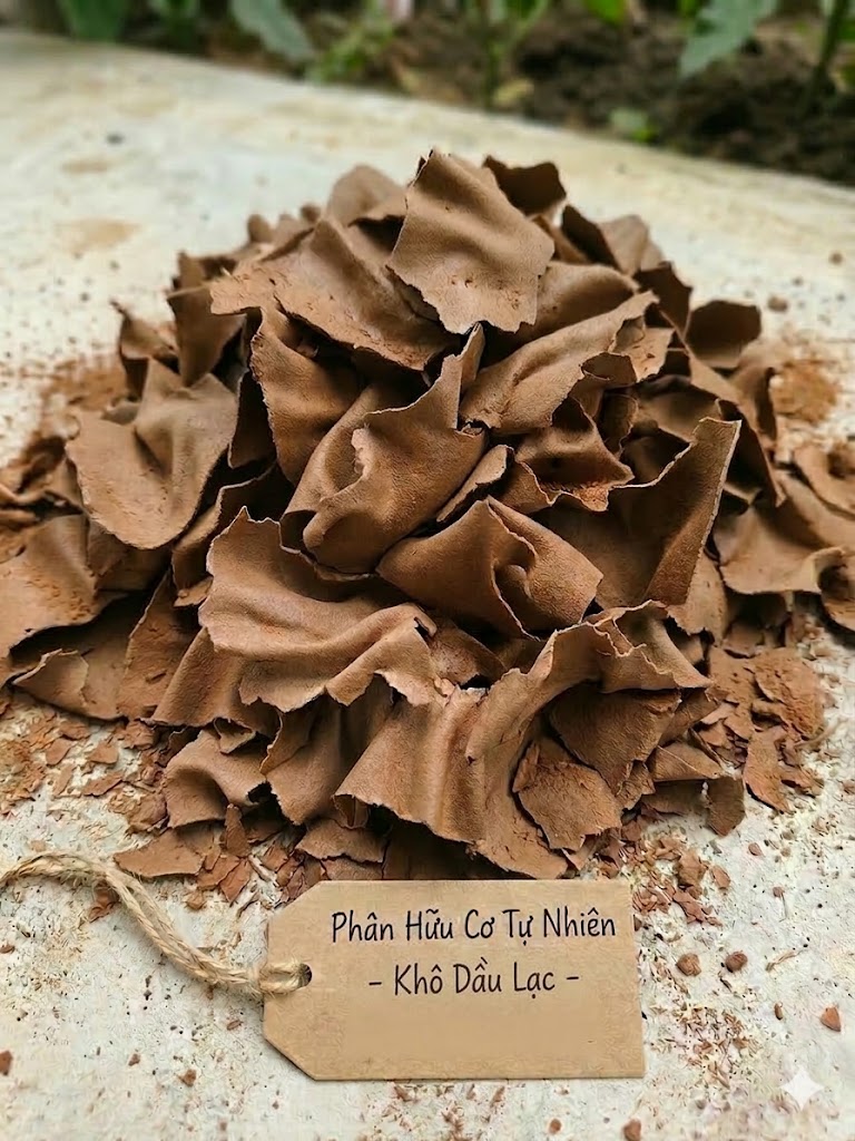 Cách Ngâm Bã Đậu Phộng (Khô Dầu Lạc) Tưới Cây: Tuyệt Chiêu Kích Mầm, Xanh Lá