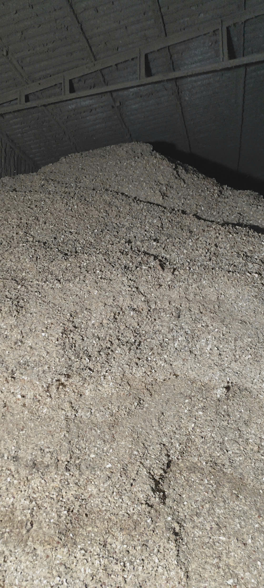 Tuyệt Chiêu Tái Sử Dụng Vỏ Đậu Phộng (Vỏ Lạc) Giúp Tiết Kiệm Chi Phí Nông Nghiệp