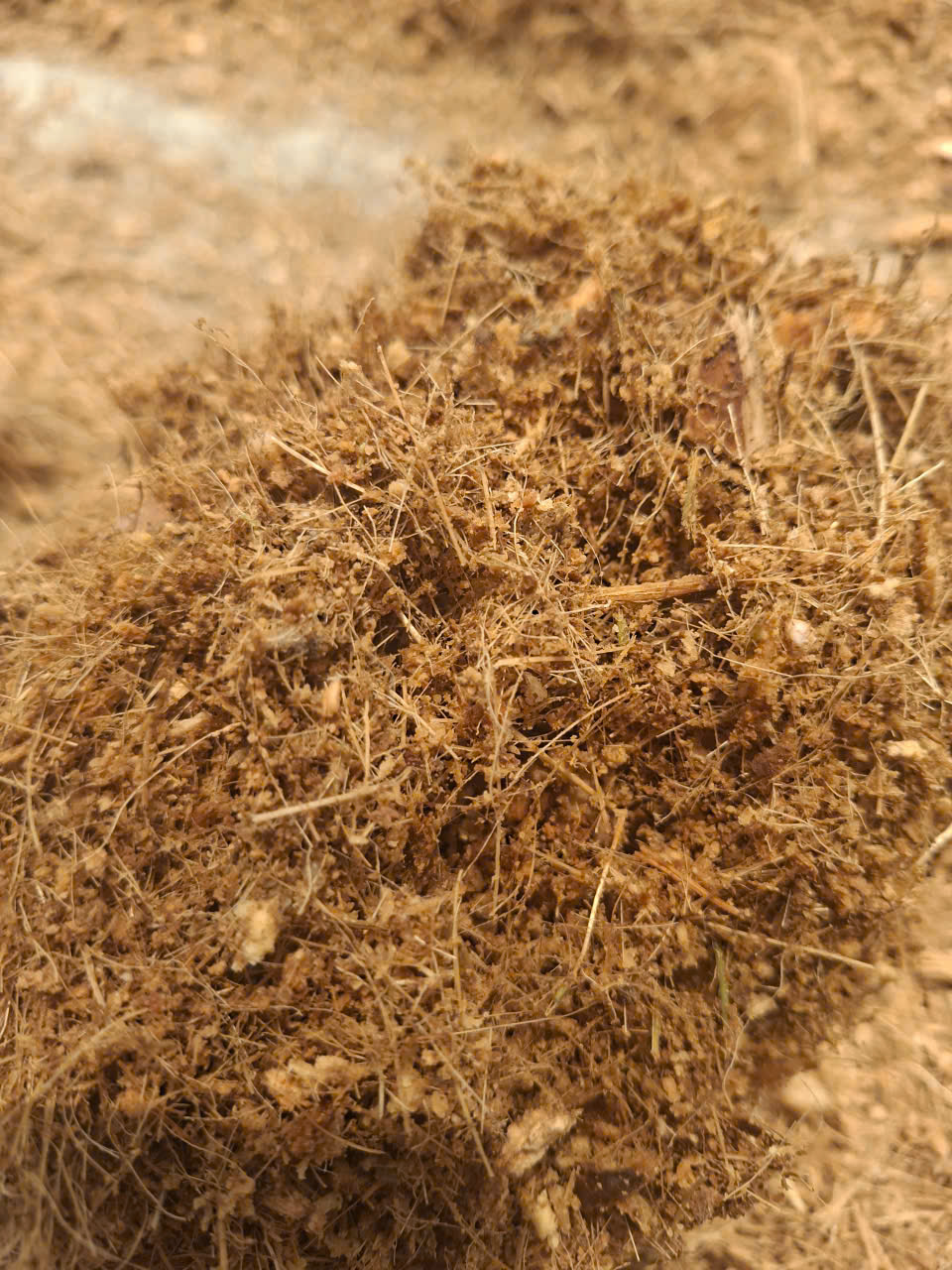 So Sánh Xơ Dừa Và Vỏ Đậu Phộng: Sự Kết Hợp Tạo Ra Siêu Giá Thể